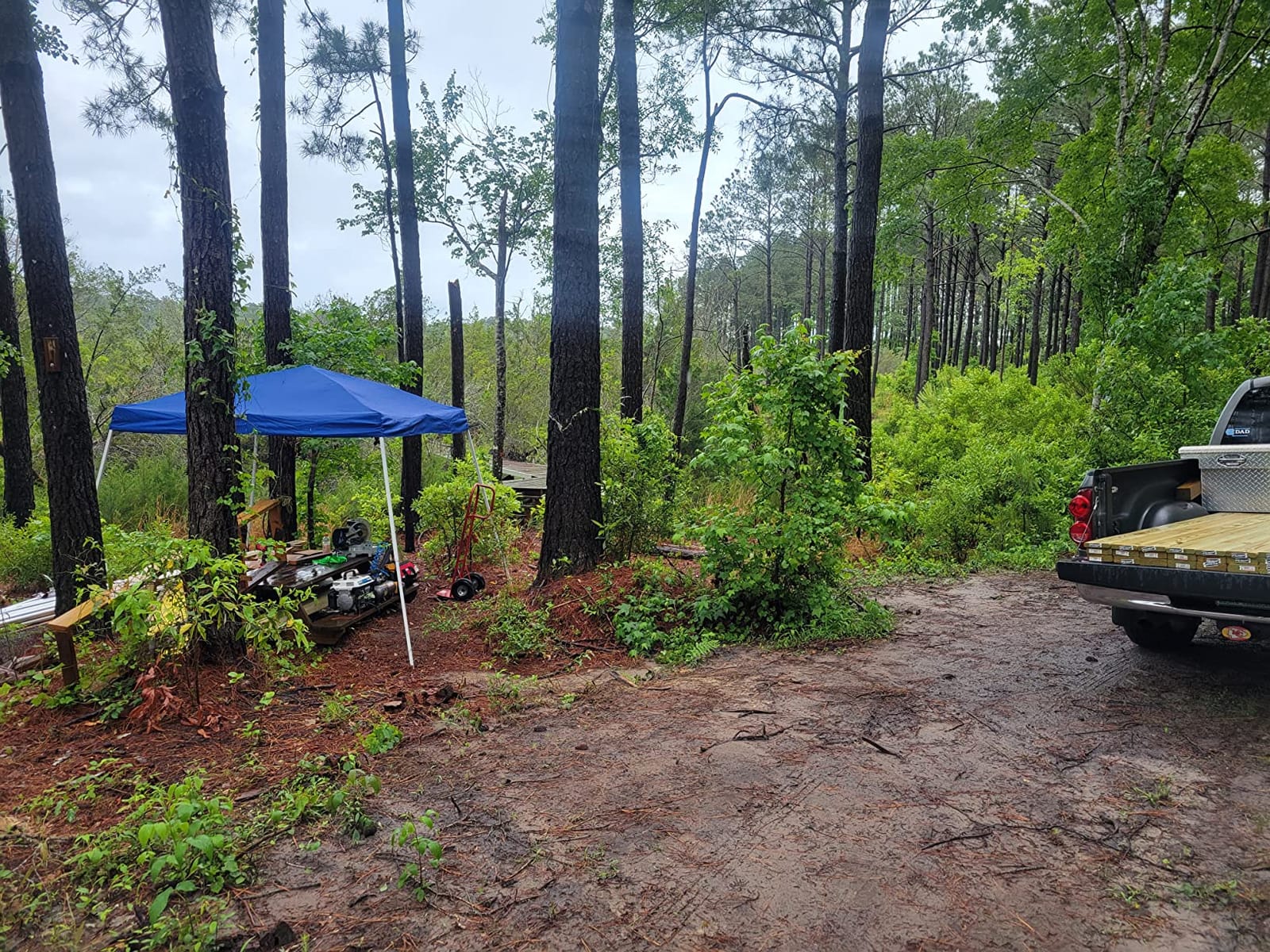 Pulsar PG1202SA 1200W Portable Generator, 900 Running Watts, 71cc 2-Cycle Engine, 40:1 Fuel Mix, 120V & 12V Outlets, Recoil Start customer photo 2
