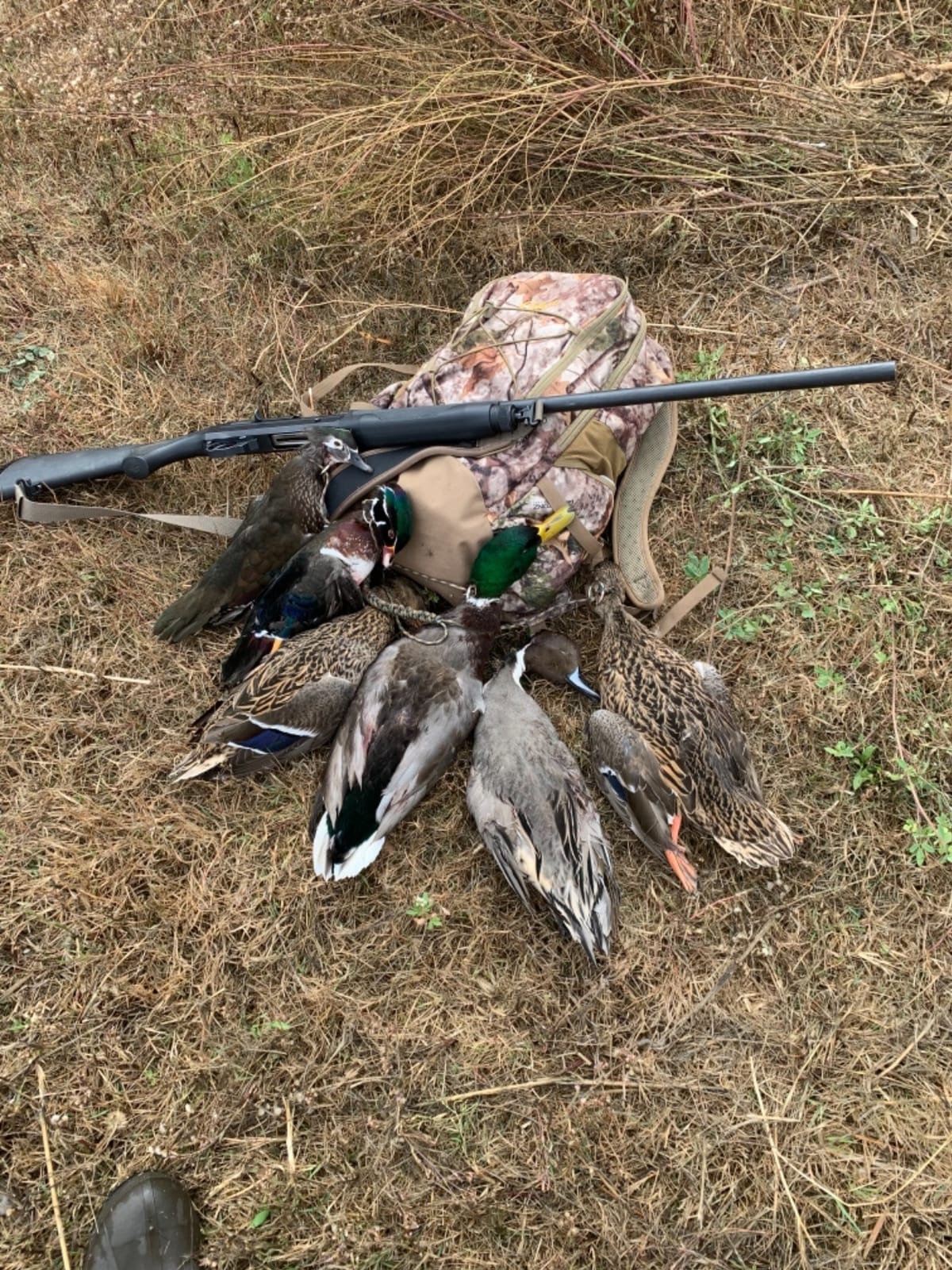 Avian-X Topflight Blue-Winged Teal Duck, Realistic Floating Outdoor Duck Decoys customer photo 2