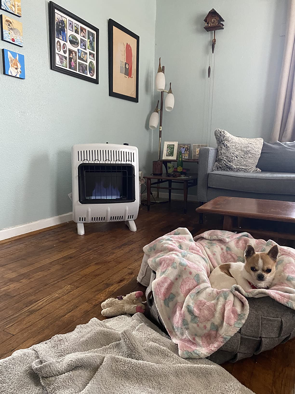 Mr. Heater 20,000 BTU Vent Free Blue Flame Propane Heater customer photo 2