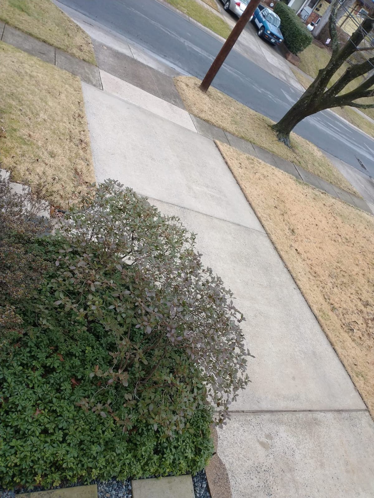 Armor SX5000 WB Natural-Look Penetrating Water-Based Silane Siloxane Concrete Sealer for Concrete, Brick, Pavers, and Natural Stone - 5 Gallon customer photo 1