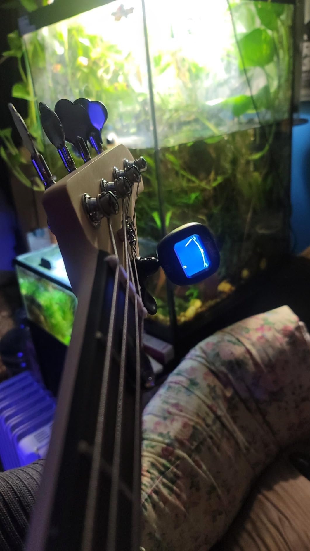 Fender FT-1 Professional Guitar Tuner Clip On, Guitar Accessories, with 1-Year Warranty, Full-Range Chromatic Guitar Tuner with Dual-Rotating Hinges, A4 Calibration customer photo 2