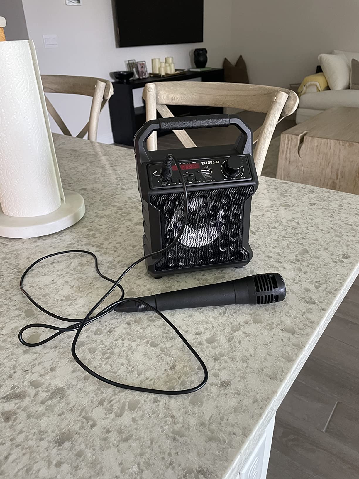 Risebass Portable Karaoke Machine with Microphone with Party Lights for Kids and Adults - Rechargeable USB Speaker Set with Bluetooth, FM Radio SD/TF Card, AUX-in, Birthday Gift for Boys and Girls customer photo 1