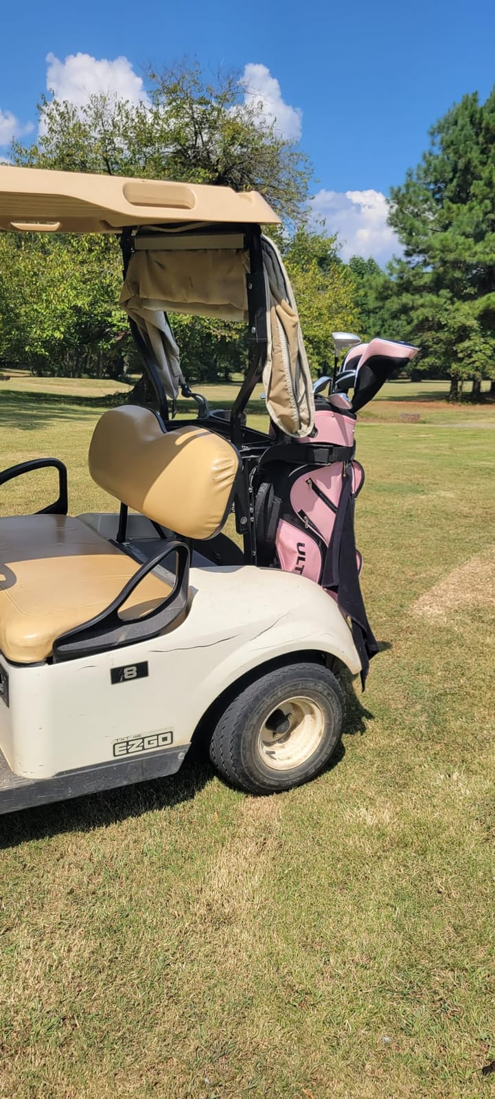 Tangkula 9/10/12 Pieces Women's Complete Golf Clubs Set, Golf Club Package Set with 460CC Driver, Fairway Wood & Hybrid, Irons, Putter, Portable Regular Golf Club Set customer photo 1