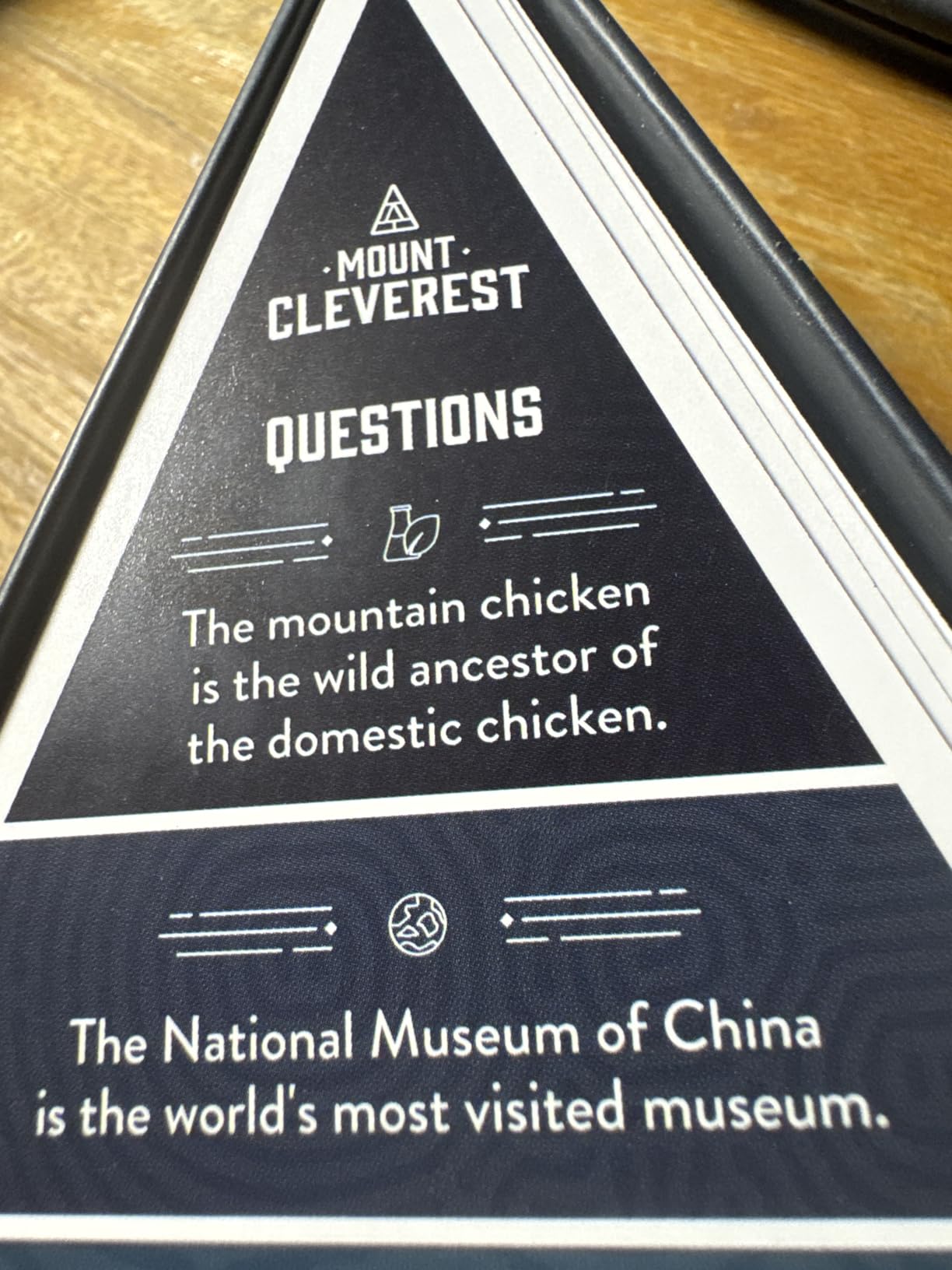 Mount Cleverest® Original Edition | True or False Trivia Game | Fun Adults & Kids Family Card Game | Stocking Stuffer | Travel Games | Party Games for Birthday | Gift for Boys and Girls customer photo 1