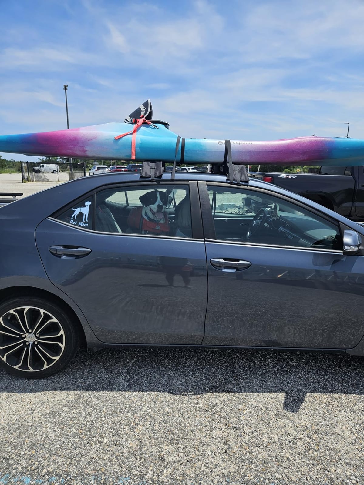 Universal Car Soft Kayak Roof Rack Pads for Kayak Surfboard SUP with 20FT Durable Tie-Down Straps, 2 Tie Down Rope, 4 Quick Loop Straps customer photo 2