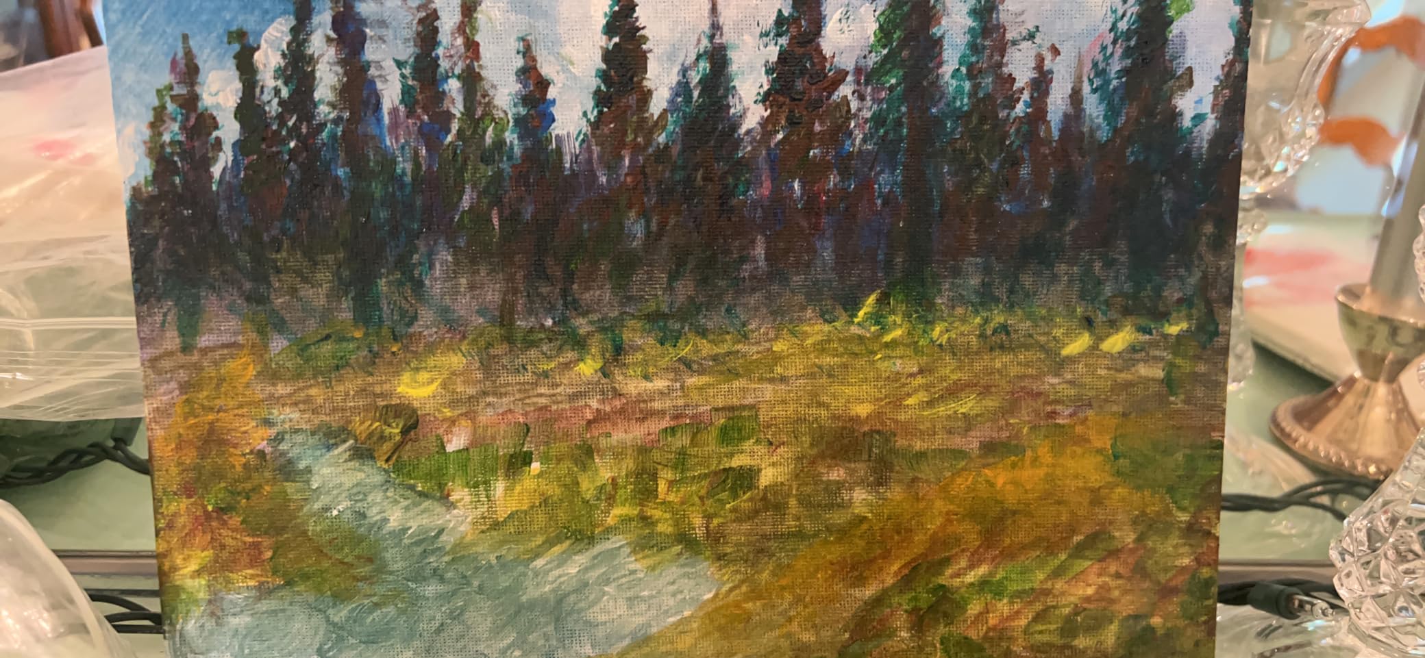 Chalkola Acrylic Paint Set for Adults & Kids - 56 Pcs Canvas Painting Kit customer photo 1