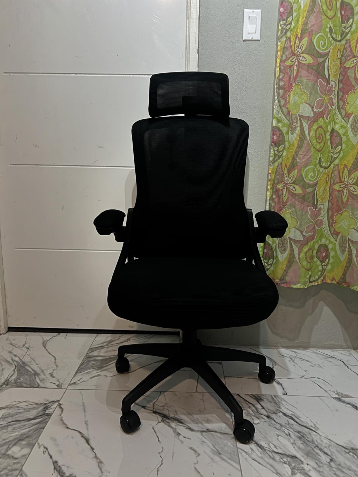 Fizzin Office Chair Mesh Computer Chairs with Adjustable Lumbar Support customer photo 1
