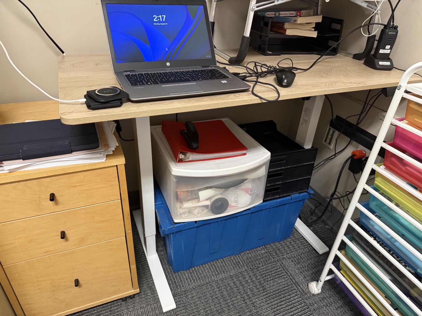 FEZIBO Standing Desk 48 × 24 Inch Electric Height Adjustable, Maple customer photo 2