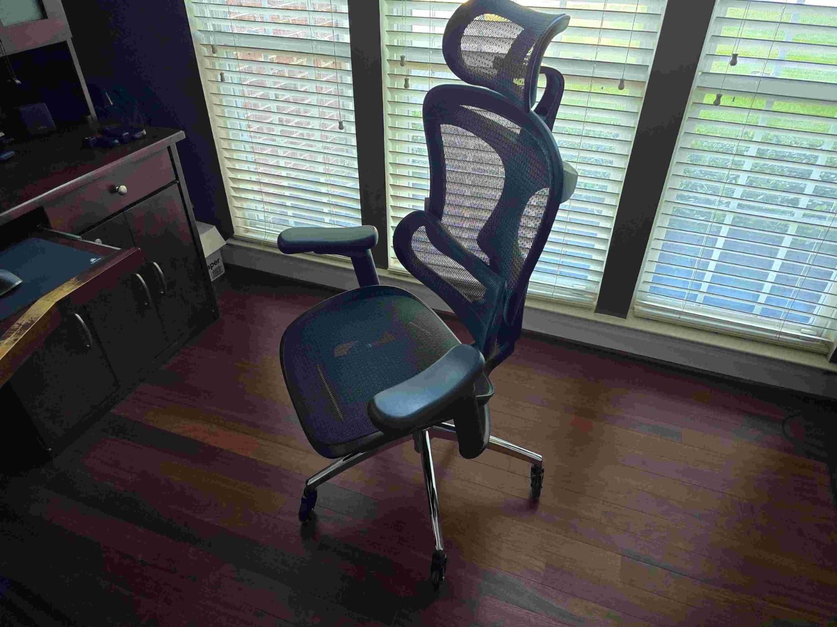 SIHOO Doro C300 Pro Ergonomic Office Chair with Ultra-Soft 6D Armrests customer photo 2