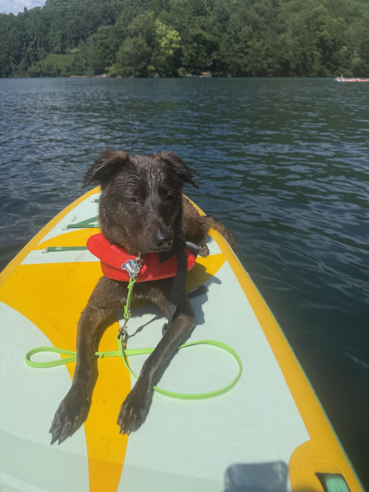 11'6/11’x35 Extra Wide Inflatable Paddle Board, 450/430lb Capacity Stand Up Paddle Board for Adults (x3), Stable Inflatable SUP, All Skill Levels, 3/5 Handles, 100L Backpack, 3PCS Paddle, 5L Dry Bag customer photo 1