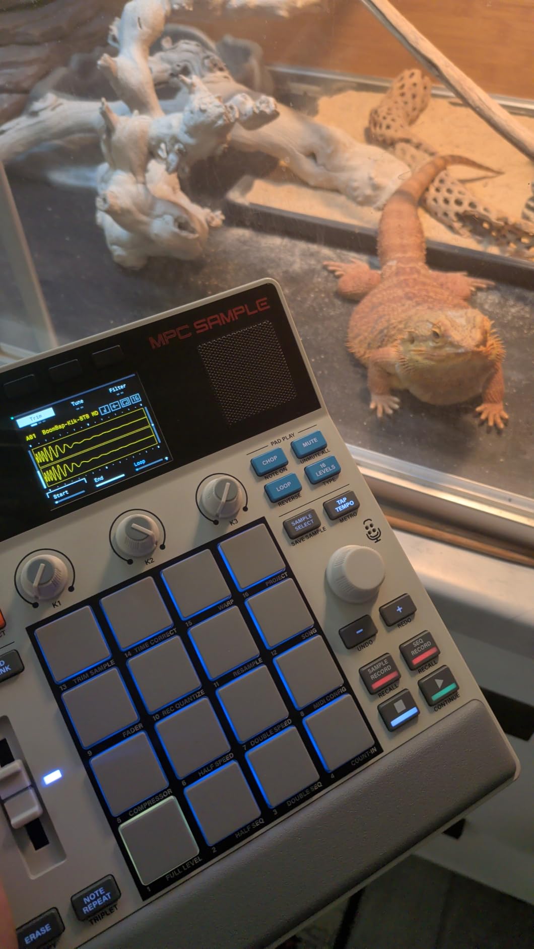 Akai Professional MPC Sample Portable Sampler customer photo 2